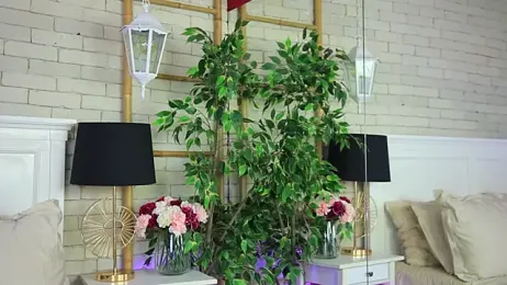 EmillyBronte stripchat stream image