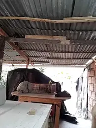 hoteder stripchat stream image