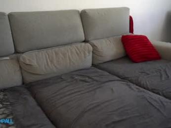 kaydenwithpaul chaturbate stream image