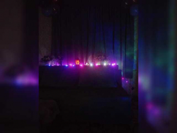 Veronika_Gold bongacams stream image