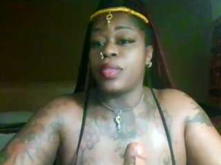 stalliontheesavage camsoda stream image