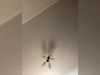 HellMor bongacams stream image, 15.05.2026 13:40