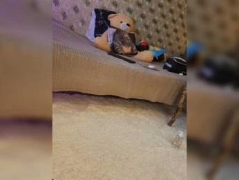 _Darina_Andreevna_ bongacams stream image, 22.05.2026 21:00