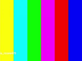 LilaRosie bongacams stream image, 28.05.2026 04:00