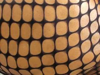 alishagoddes camsoda stream image, 12.06.2026 06:30