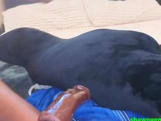 shawn-geni camsoda stream image, 20.06.2026 20:30