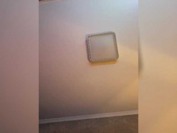 PALMIIRA bongacams stream image