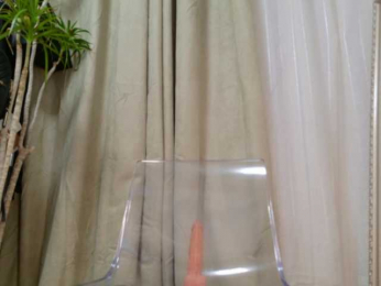 EmilyxJames bongacams stream image