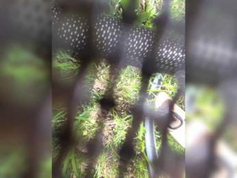 Angelia22 bongacams stream image, 22.07.2026 06:40