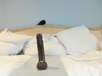 eatmygingersnapps chaturbate stream image