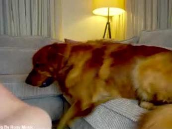 x_lily_x chaturbate stream image, 09.08.2026 21:50