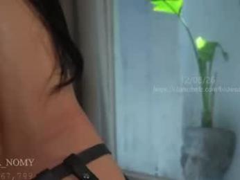 shena_nomy chaturbate stream image, 12.08.2026 12:40
