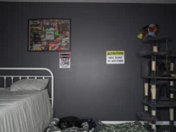 sydaffect chaturbate stream image, 15.08.2026 02:30