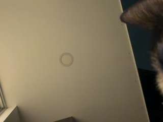 cheerrybomb camsoda stream image, 22.08.2026 00:00