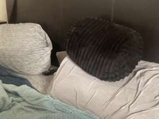 t1ger camsoda stream image