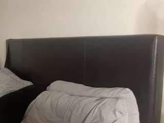 t1ger camsoda stream image