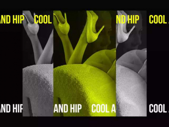 Taanni bongacams stream image