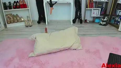 dariadoll stripchat stream image