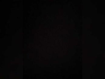 PALMIIRA bongacams stream image