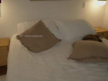 rebeccastonee chaturbate stream image