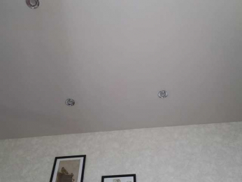 dolly-ll bongacams stream image