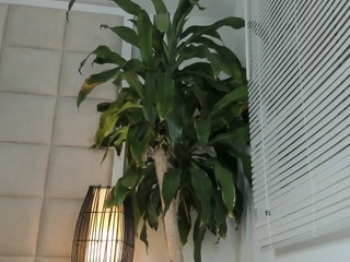 zhuyhong camsoda stream image