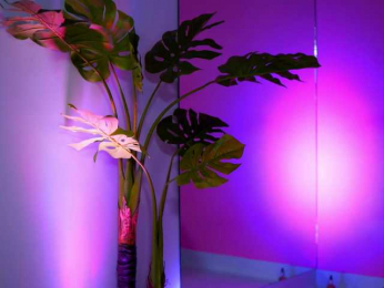 NatyDesiree bongacams stream image