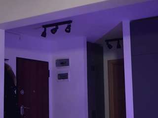 adalline camsoda stream image