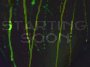 HeyBanana bongacams stream image