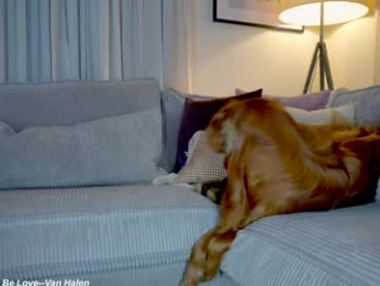 x_lily_x chaturbate stream image