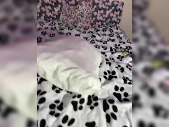 millemimi bongacams stream image