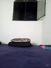 pepsicolacouple stripchat stream image