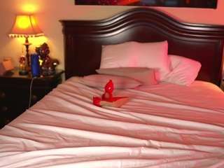 katyerave camsoda stream image