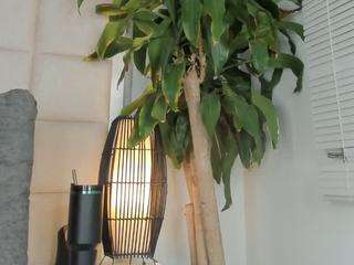 zhuyhong camsoda stream image