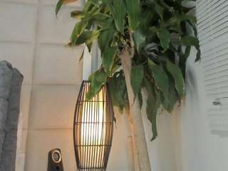 zhuyhong camsoda stream image