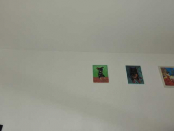 YOUR_ELENA bongacams stream image