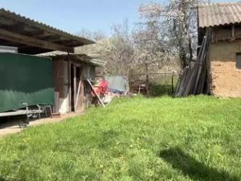 patry333 chaturbate stream image