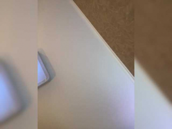 PALMIIRA bongacams stream image