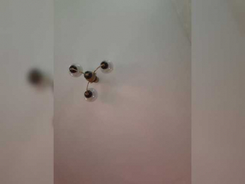 LittleDelora bongacams stream image