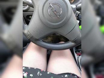 Angelia22 bongacams stream image, 19.04.2025 06:50