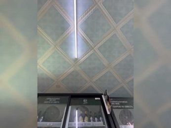 praesertim bongacams stream image