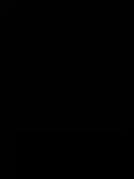 Ceyceys stripchat stream image