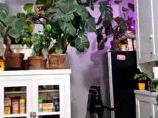 sexysagittarius1212 camsoda stream image