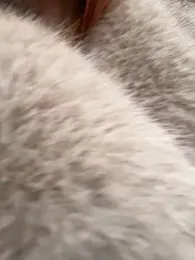 babydolll stripchat stream image