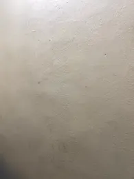 United3 stripchat stream image