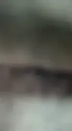 GoldenFlameGoddess stripchat stream image