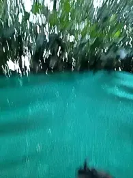 Ary-18 stripchat stream image