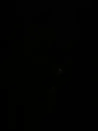 Bigbuttbrooklynn stripchat stream image