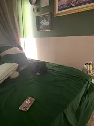 GingerSnap33 stripchat stream image