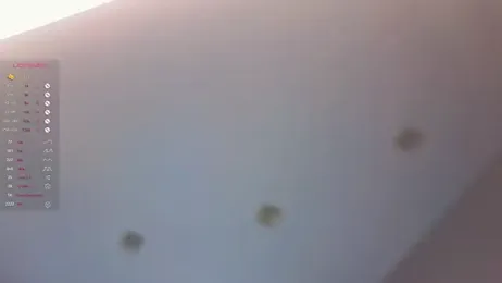 AsteriaHamel stripchat stream image